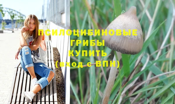 ГАЛЛЮЦИНОГЕННЫЕ ГРИБЫ Михайлов