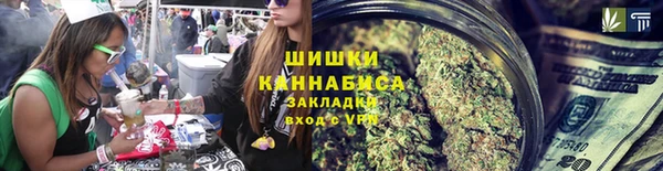 ГАЛЛЮЦИНОГЕННЫЕ ГРИБЫ Наволоки
