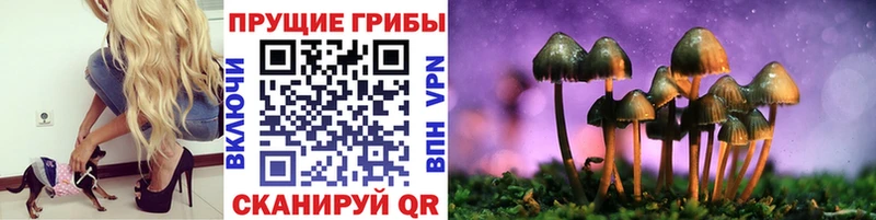 Псилоцибиновые грибы ЛСД  Чаплыгин 